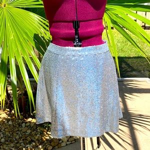 Sequin Skirt
